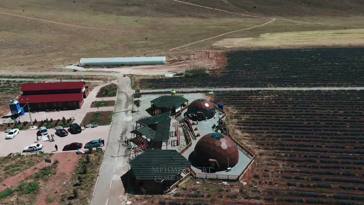 AFŞİN LAVANTA BAHÇESİ / RETRO STÜDYO / KAHRAMANMARAŞ