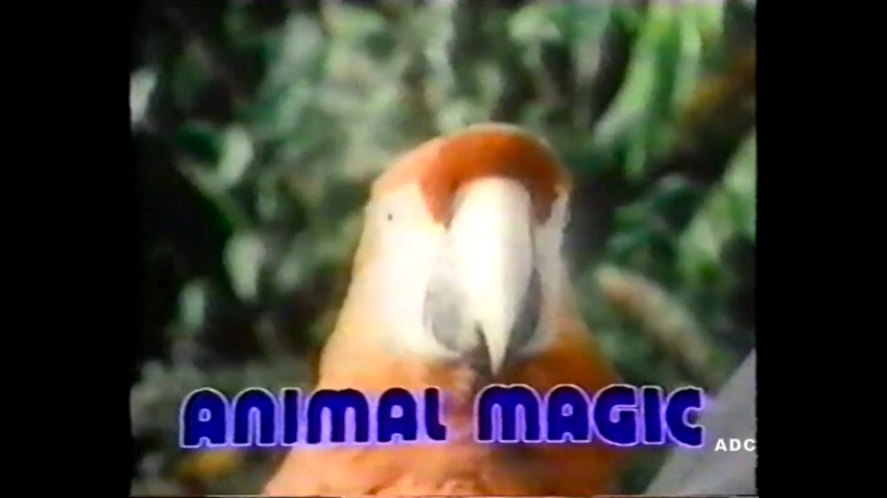 Animal Magic series 36 episode 4 BBC1 1980