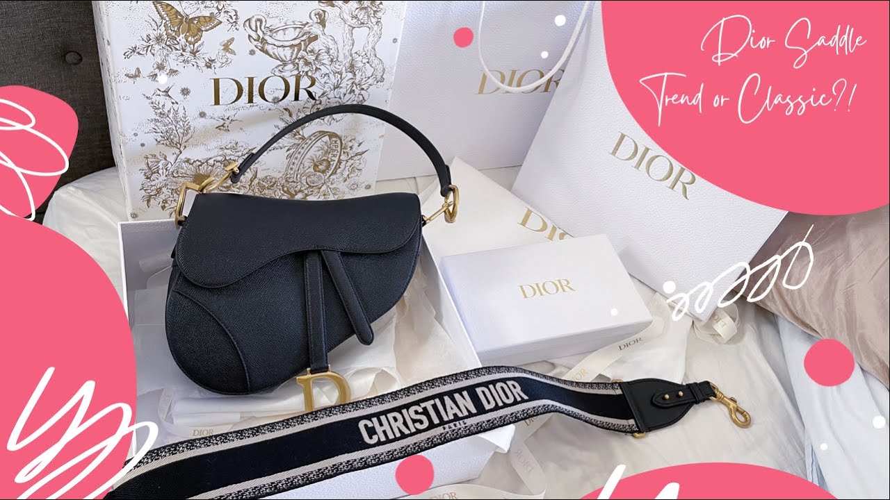 Dior Saddle Review | WIMB | Love or Hate?