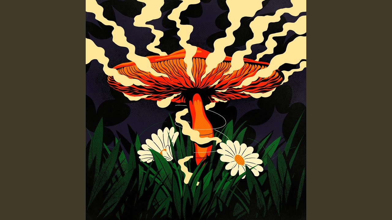 Fungus Hunter