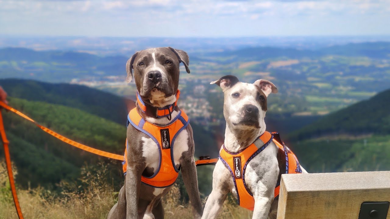 Dogtrekking - Radegast, Radhošť a okolí 🌲