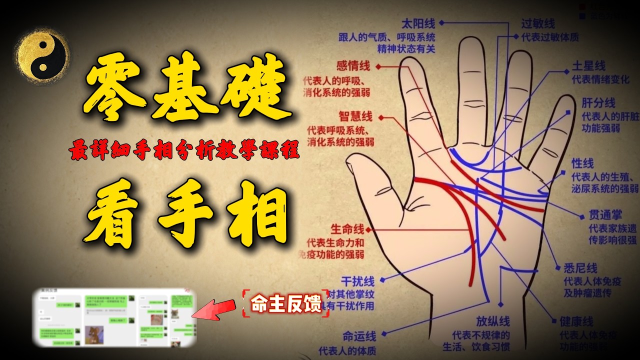 手相学最细致教学！命主真实案例反馈：倾囊相授，3分钟睇手识人，工作、恋爱、养老、防坑必备。