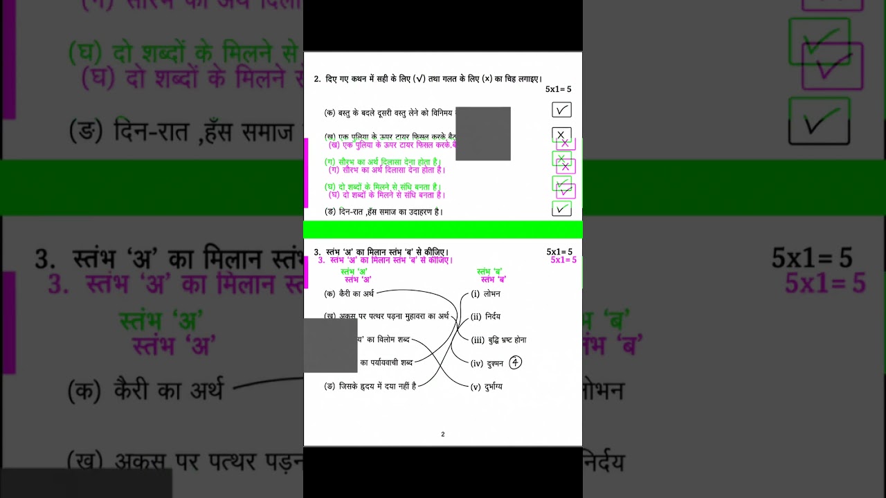 September 16, Class 8 Social Science Half-Year Exam 2026 || Bihar Board Class 8 Social Science 2026