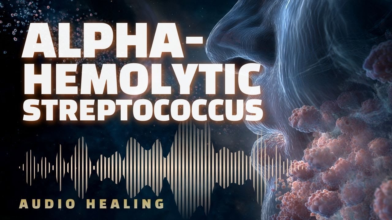 Alpha-Hemolytic Streptococcus 🧬 Bioresonance Therapy | Targeted Frequency Biofield Support (BRT)