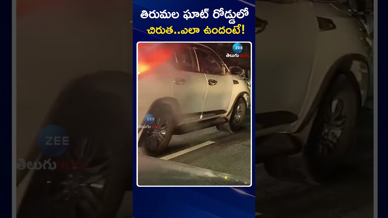 Leopard Hulchul At Tirumala Ghat Road | తిరుమల ఘాట్ రోడ్డులో చిరుత | ZEE Telugu News