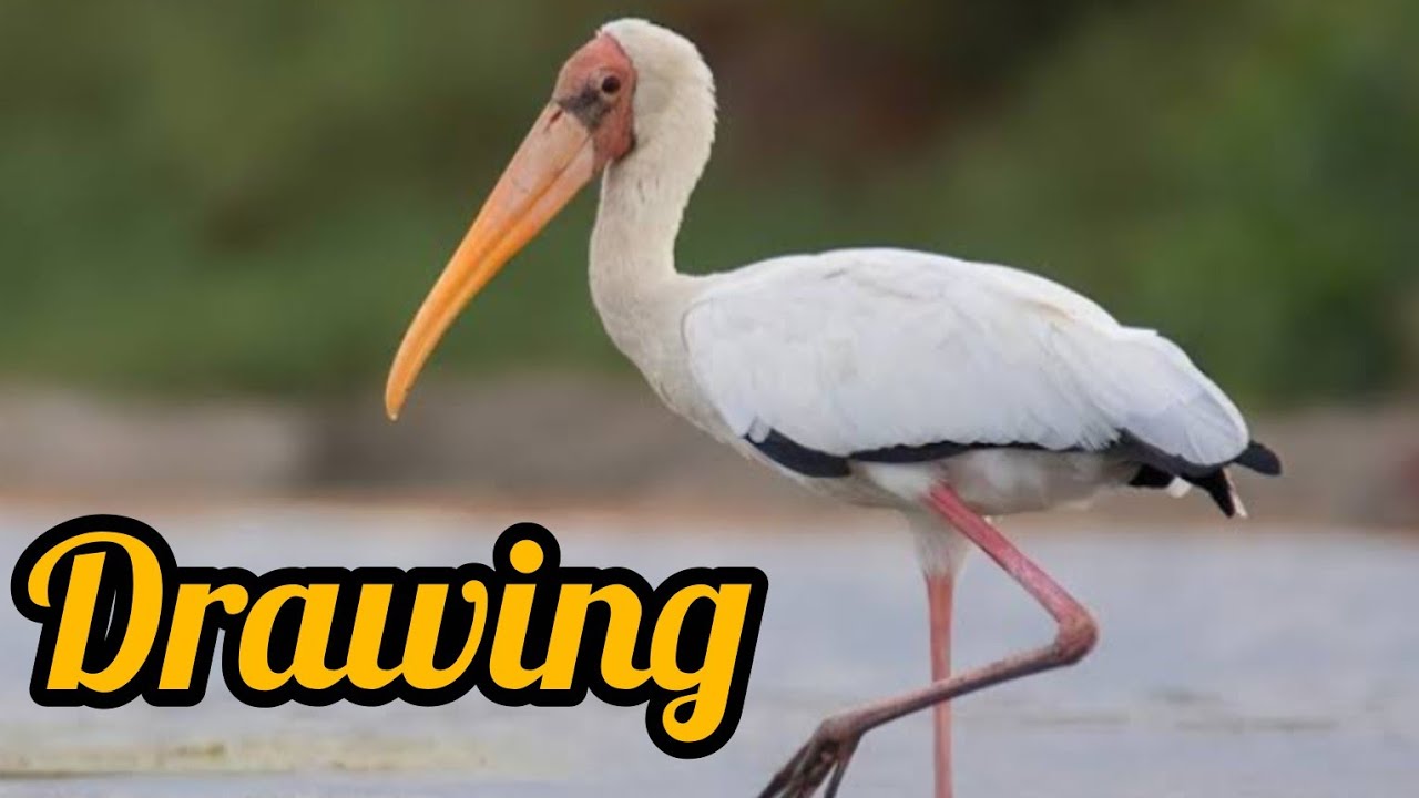 Easy drawings #kidsvideo #funny #shortvideo #viral #trending #drawing a bird #swan #storkmagic #art