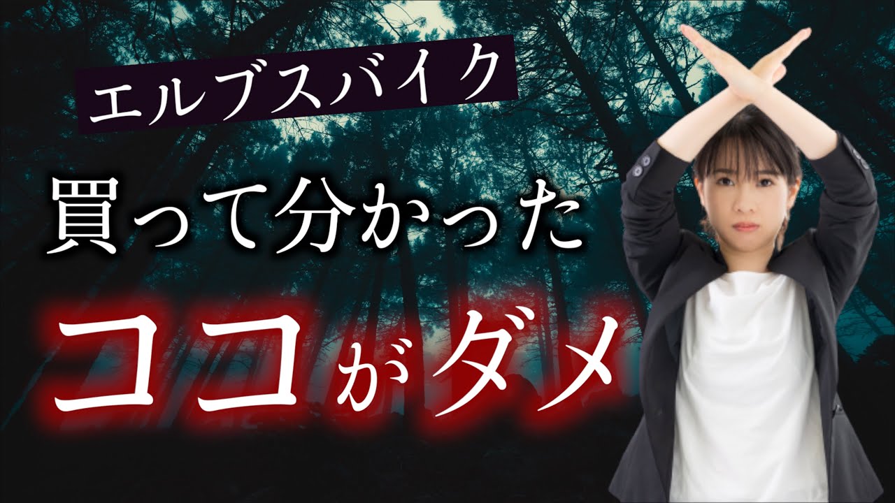 【ロードバイク】ELVES Falath EVOを買ってわかった総額と乗り心地・デメリット