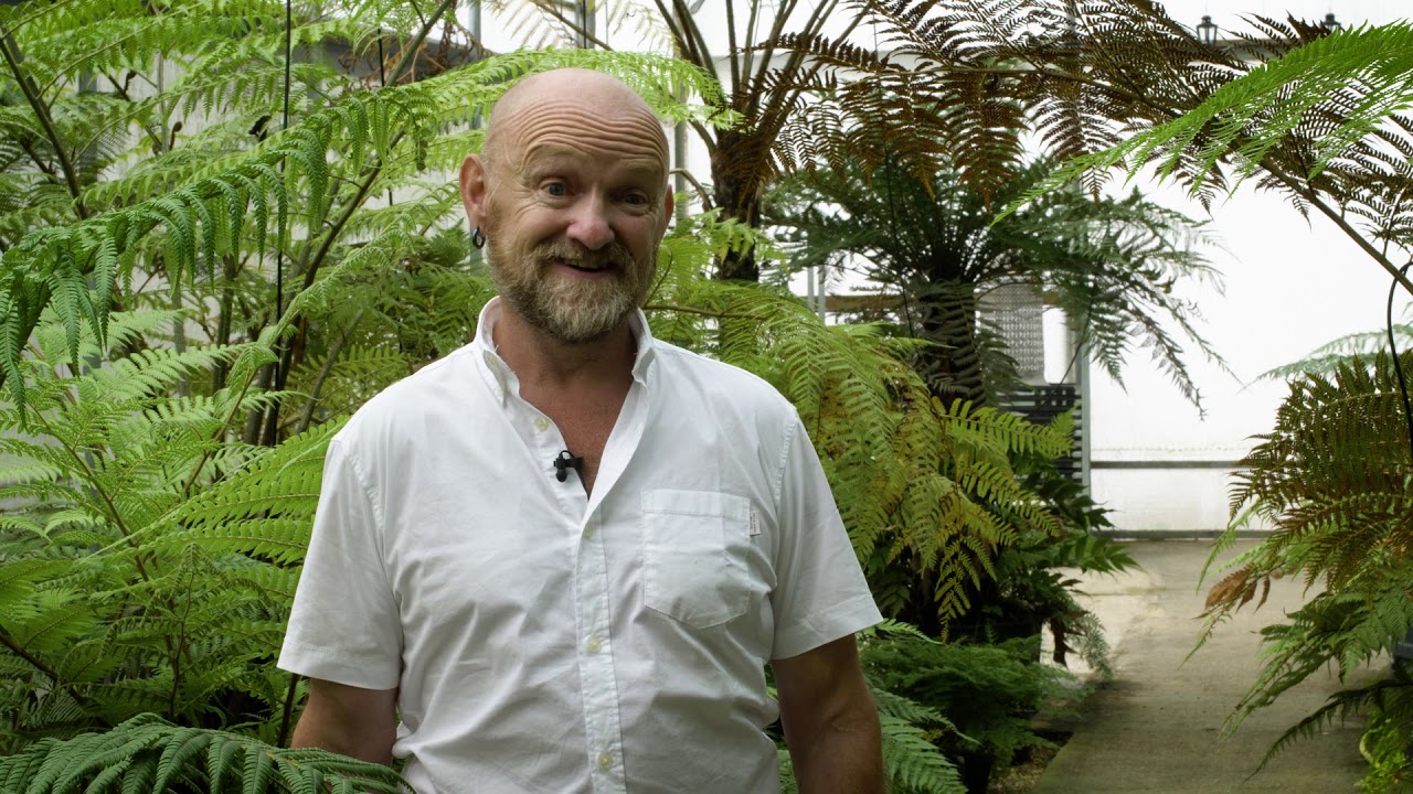 Master Grower | Fernatix | RHS Malvern Spring Festival | RHS