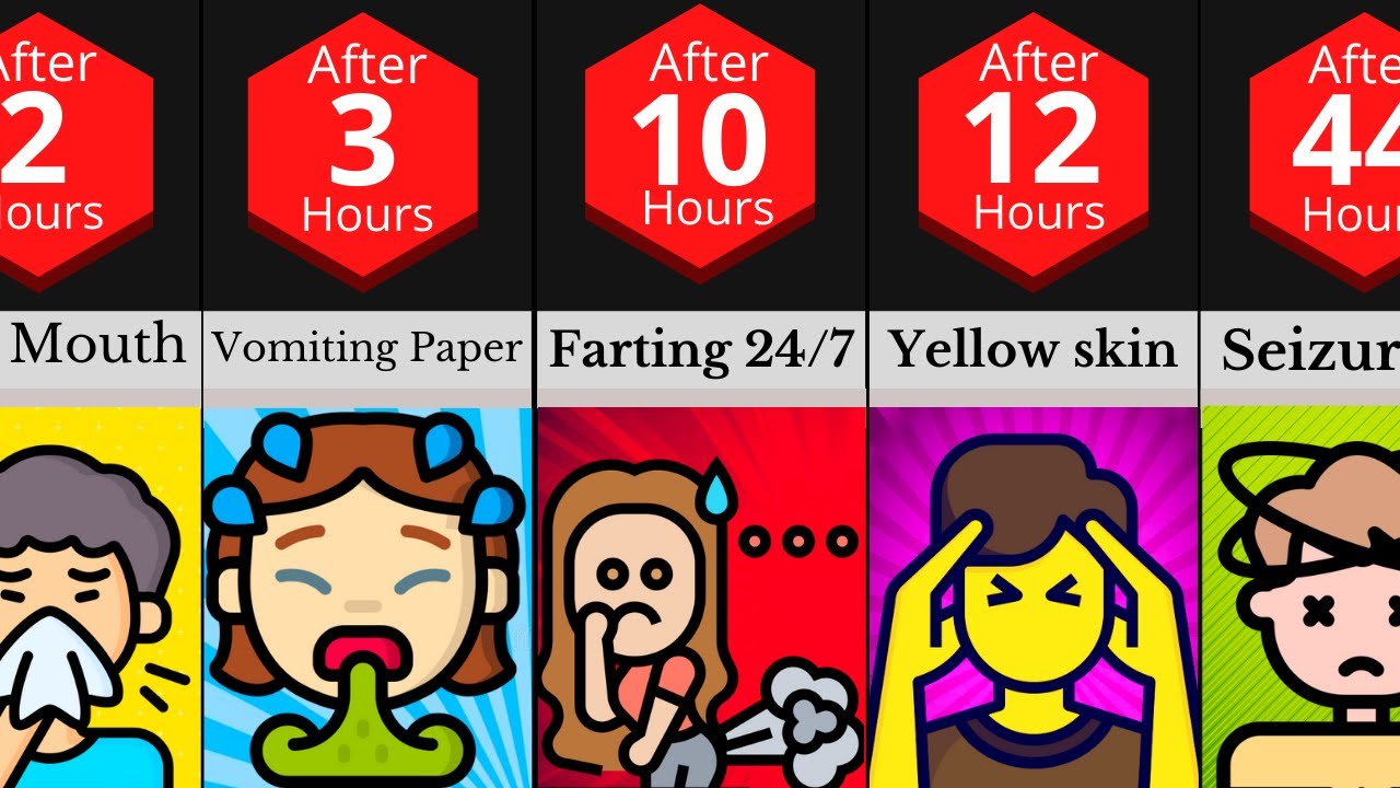 Comparison: What If You Only Ate Paper