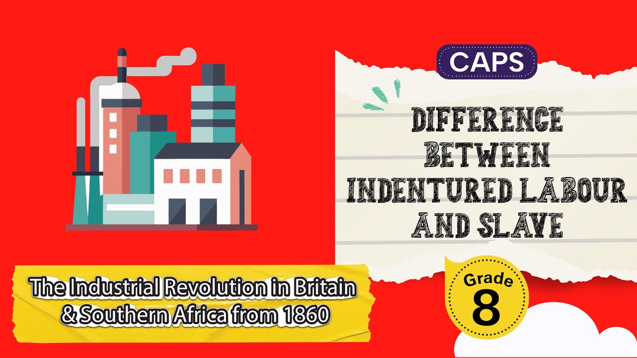 [GRADE 8] Difference between Indentured Labour and Slave