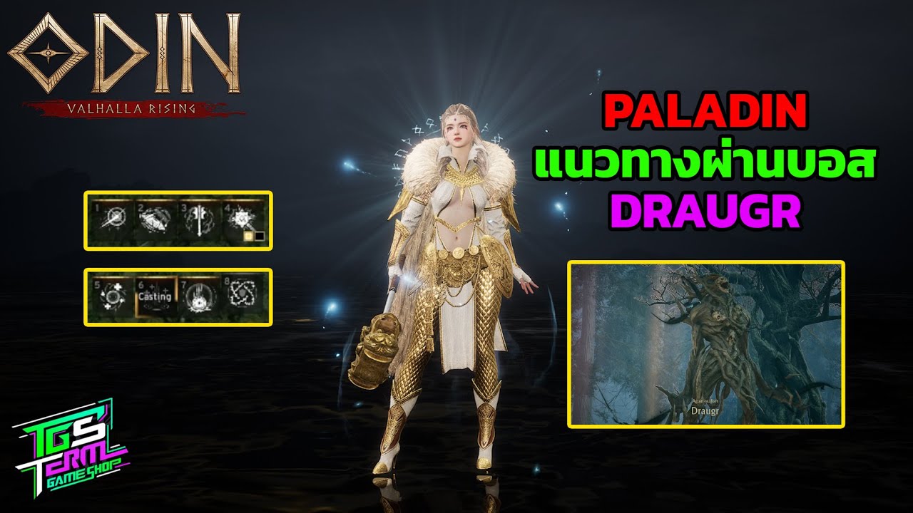 Odin : Valhalla Rising | GUIDE PALADIN ผ่านบอส DRAUGR อย่าช้าแข่งกับเวลา