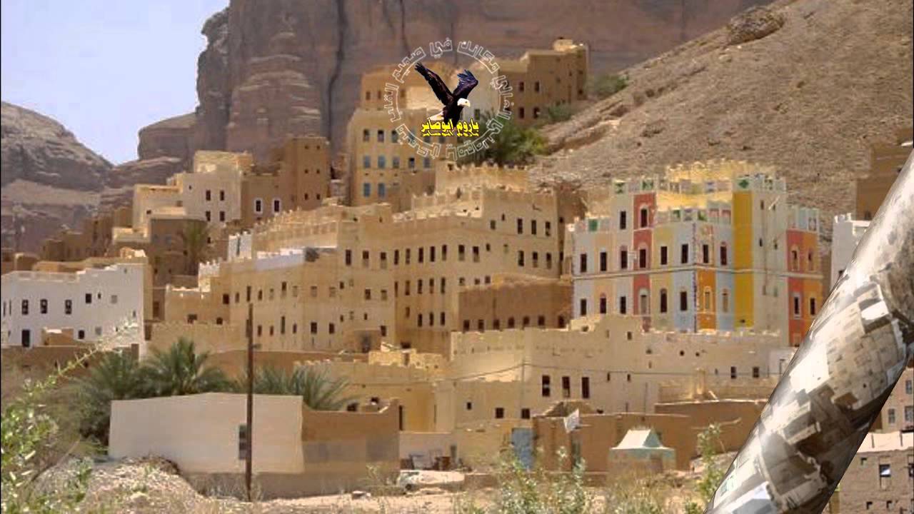 دان حضرمي مع المدروف - منين الصوت ذا جبته