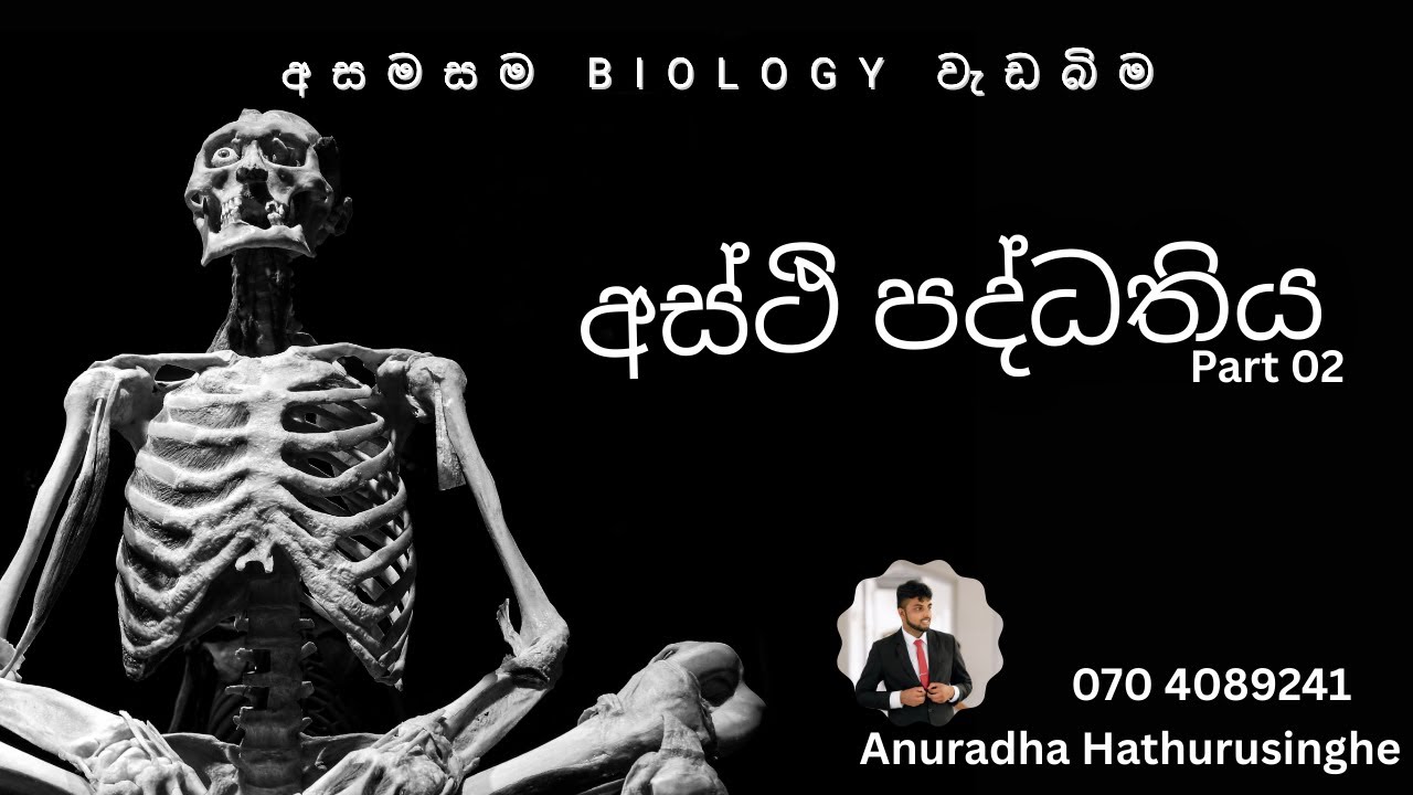 අස්ථි පද්ධතිය 2- 2026