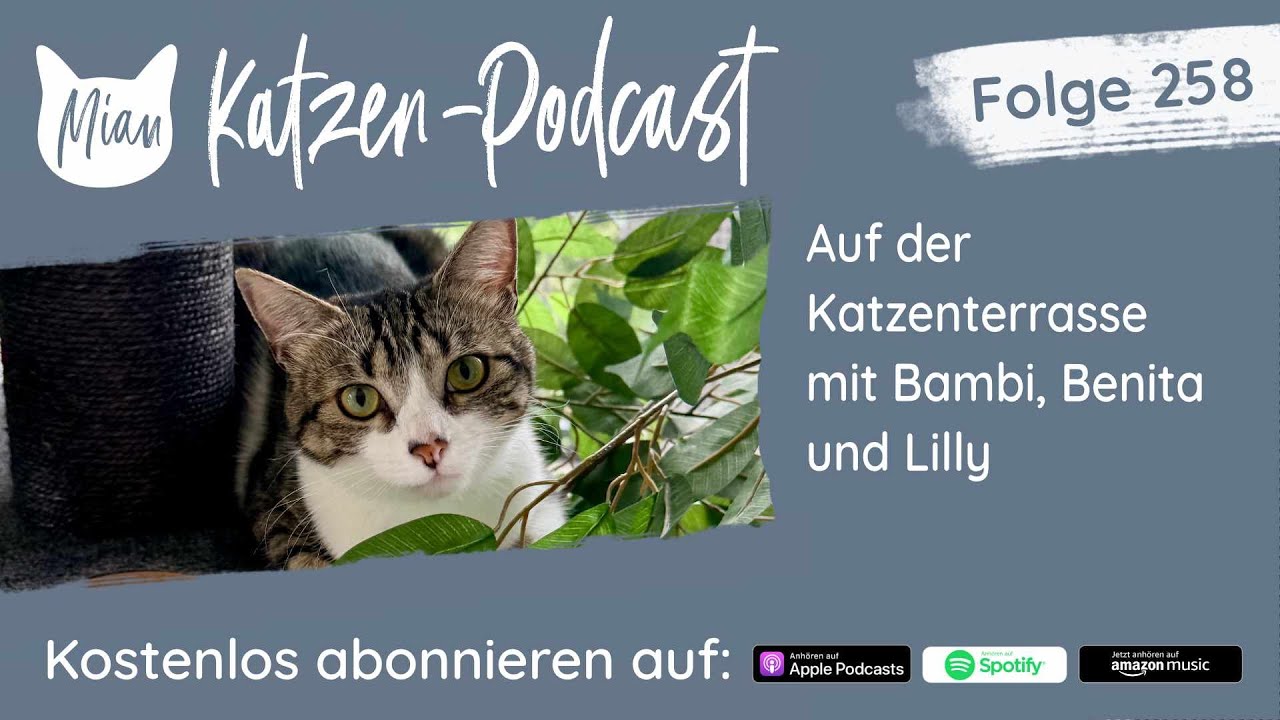 #258 Auf der Katzenterrasse mit Bambi, Benita & Lilly | Miau Katzen-Podcast