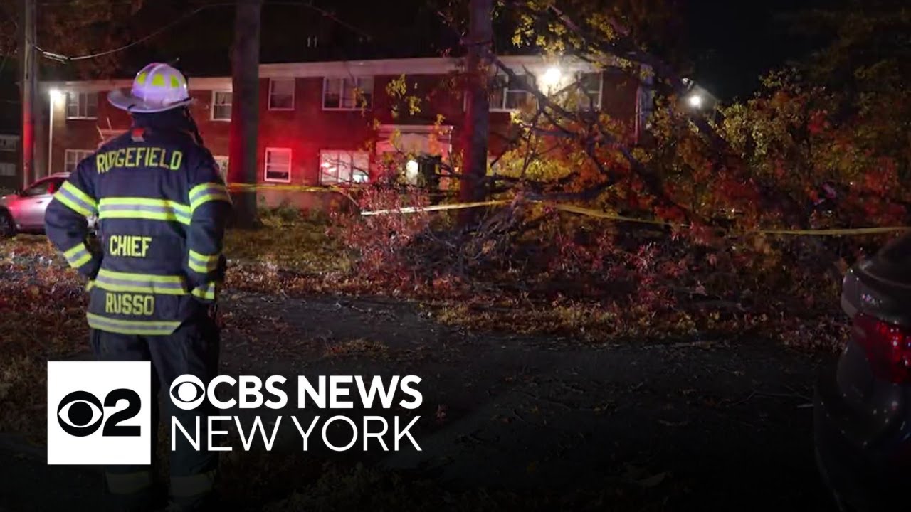 Large tree crashes into building in Ridgefield, N.J.