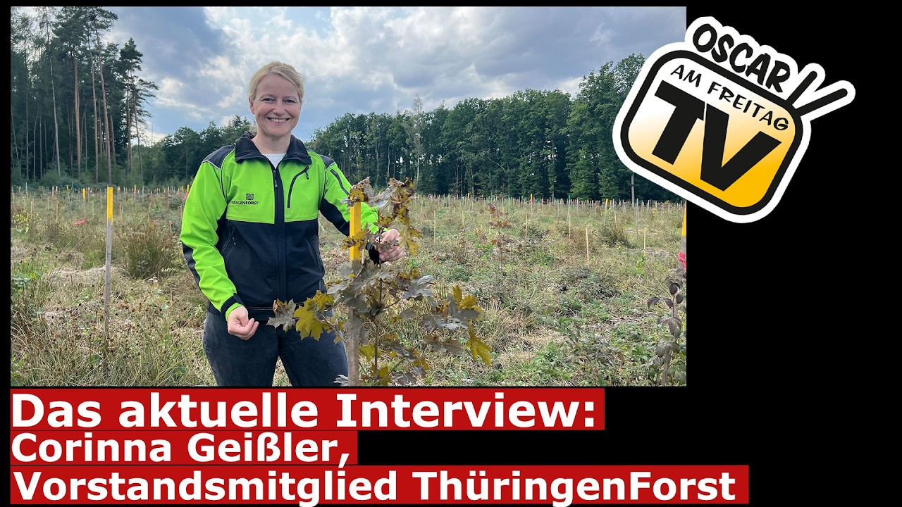 Das aktuelle Interview: Corinna Geißler, ThüringenForst – Der Wald der Zukunft