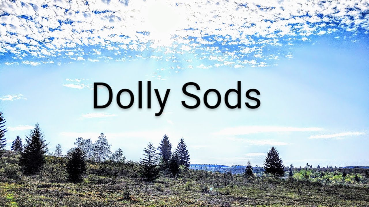Dolly Sods backpacking loop