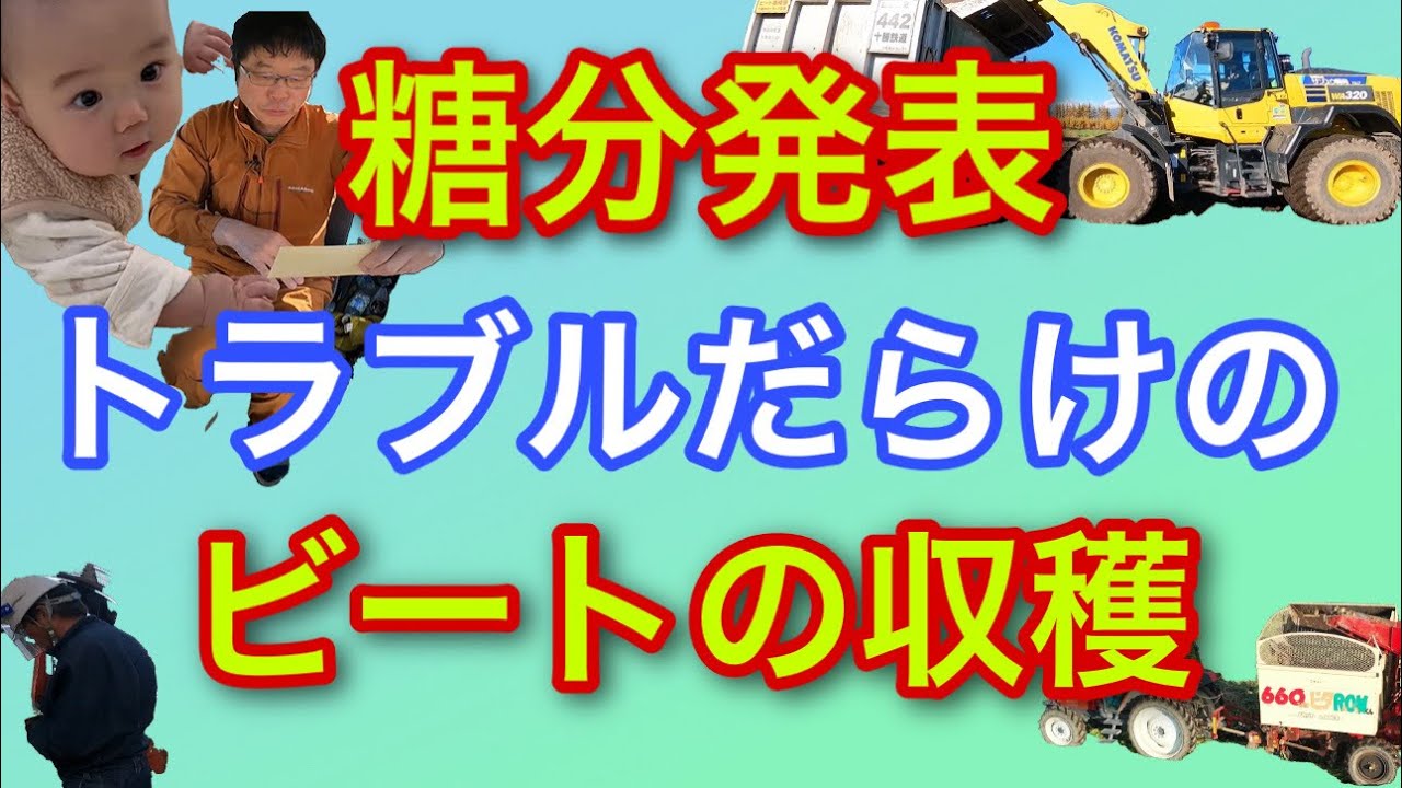 糖分発表【トラブルだらけのビートの収穫】