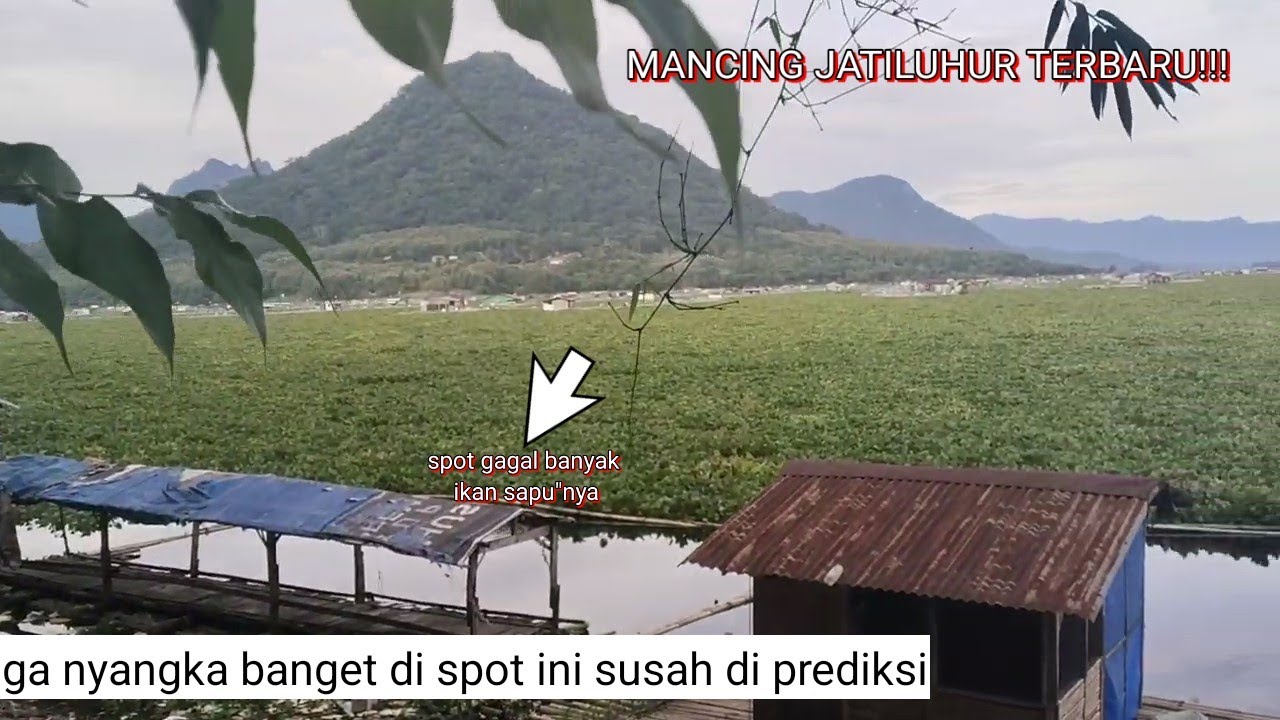 MANCING JATILUHUR TERBARU!!!! GA NYANGKA DI SPOT INI IKANNYA PADA JUTEK GA MAU MAKAN😅😅😅