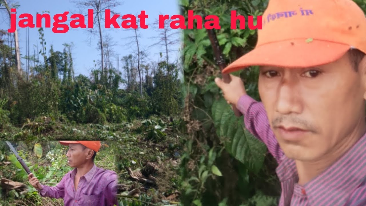Kuddu ka khet karne ke liye jangal kat raha hu 