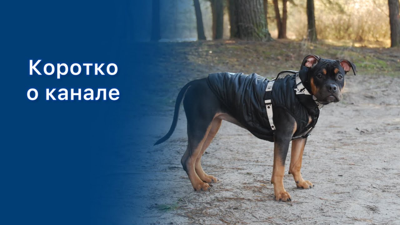 Коротко о канале
