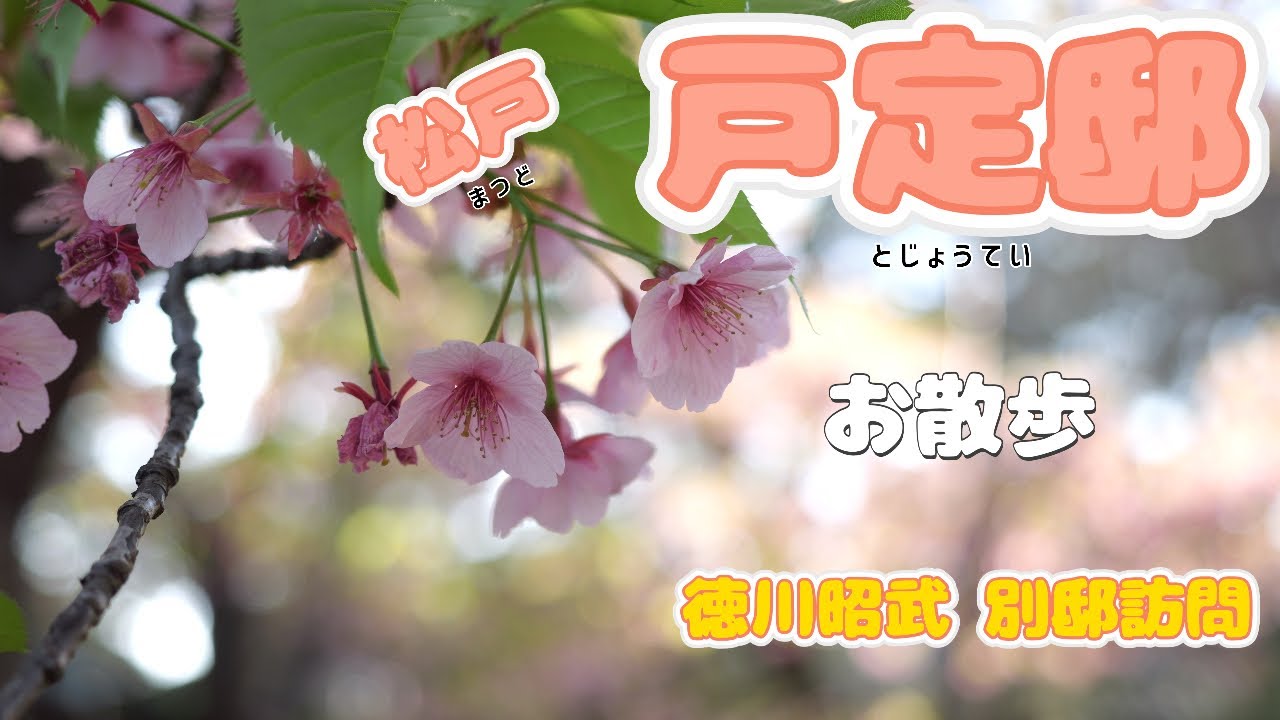 【散歩】松戸戸定邸お散歩の旅