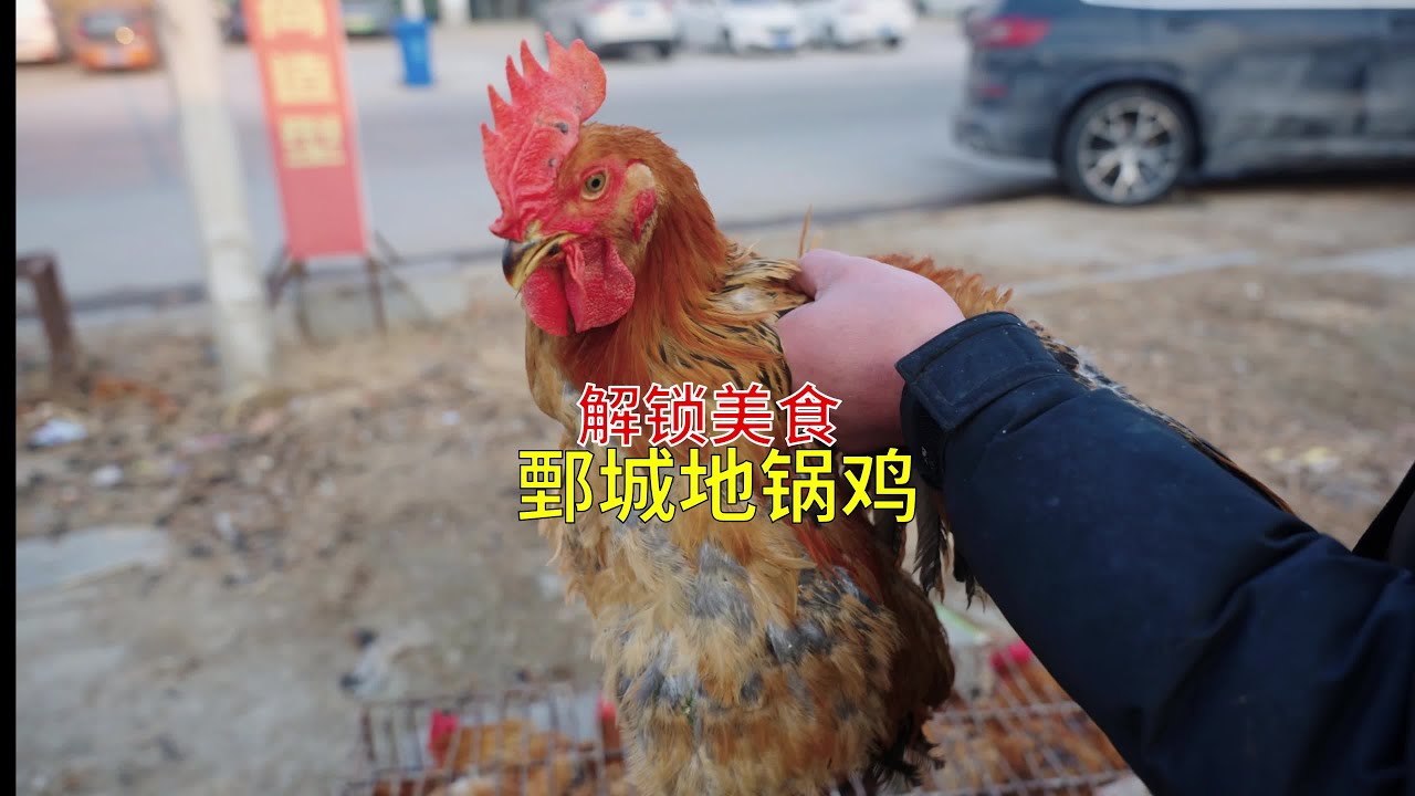 鄄城這家地鍋雞，劈柴做火的味道超沖！一口氣吃個飽！ #中华美食 #中国美食 #地方美食 #城市美食 #美食探店