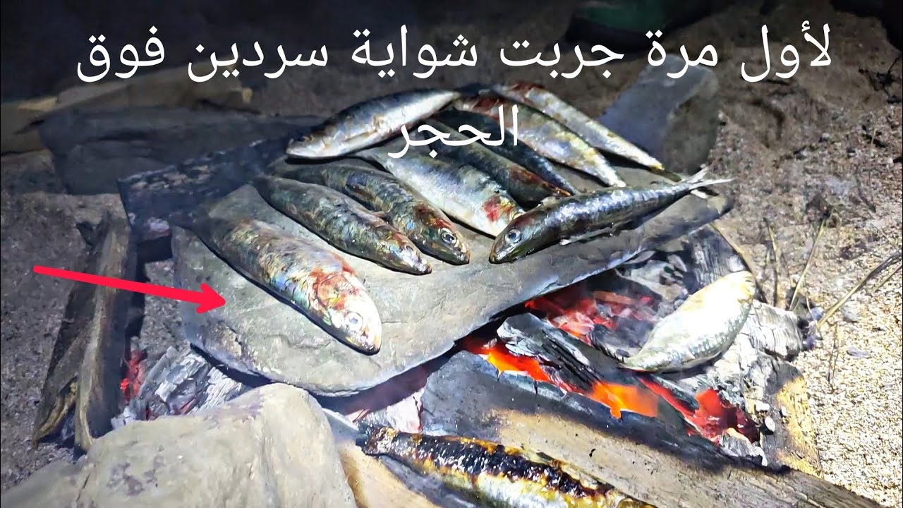 ليله صيد اسماك الشرغو 🐟🎣 مع  الرايس  حماده وتحية كبيرة لخويا زكرياء🙏❤️🔥