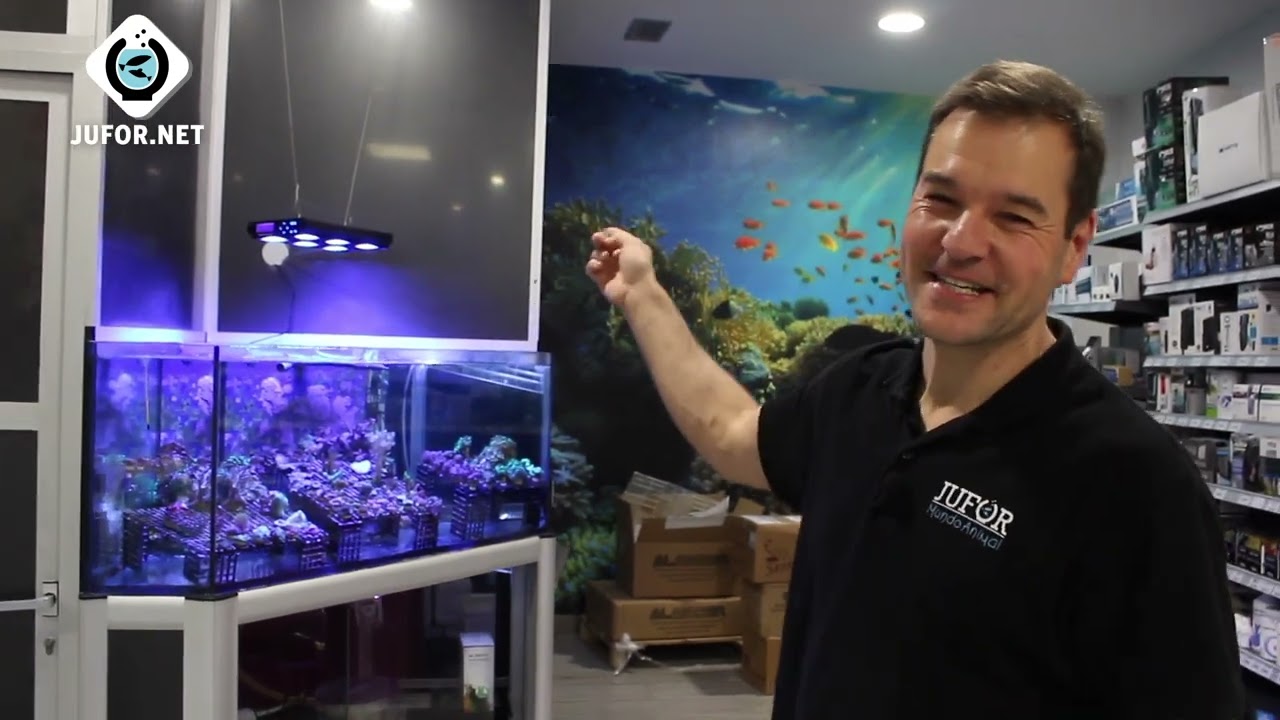 Iluminación de ÚLTIMA GENERACIÓN para mi ACUARIO MARINO