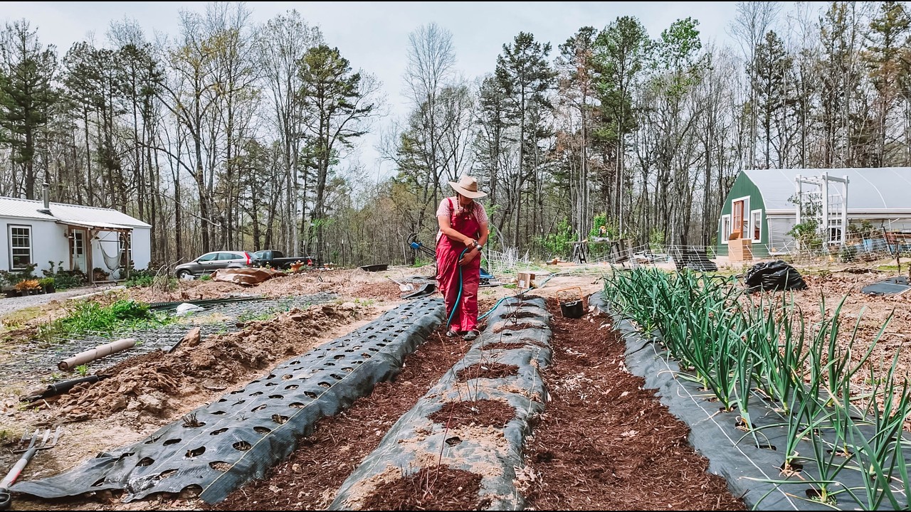 An Off Grid Nightmare: Life Unfiltered