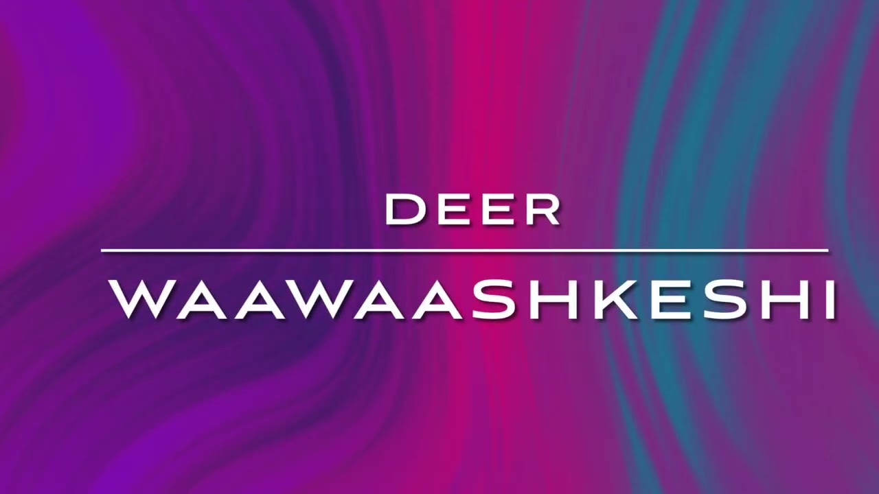 5.1 Ojibwe Word of the Day (Waawaashkeshi)