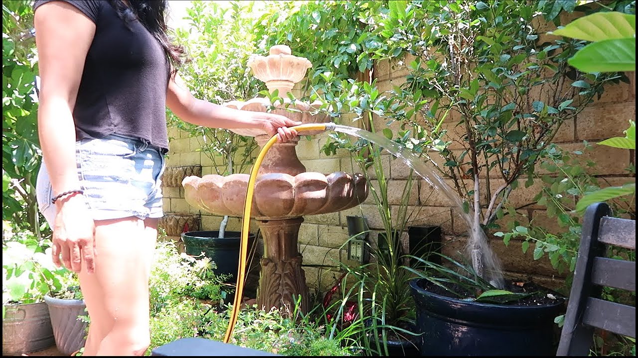 All About Watering Fruit Trees In Containers | How, When, Things to Consider | Location, Container+
