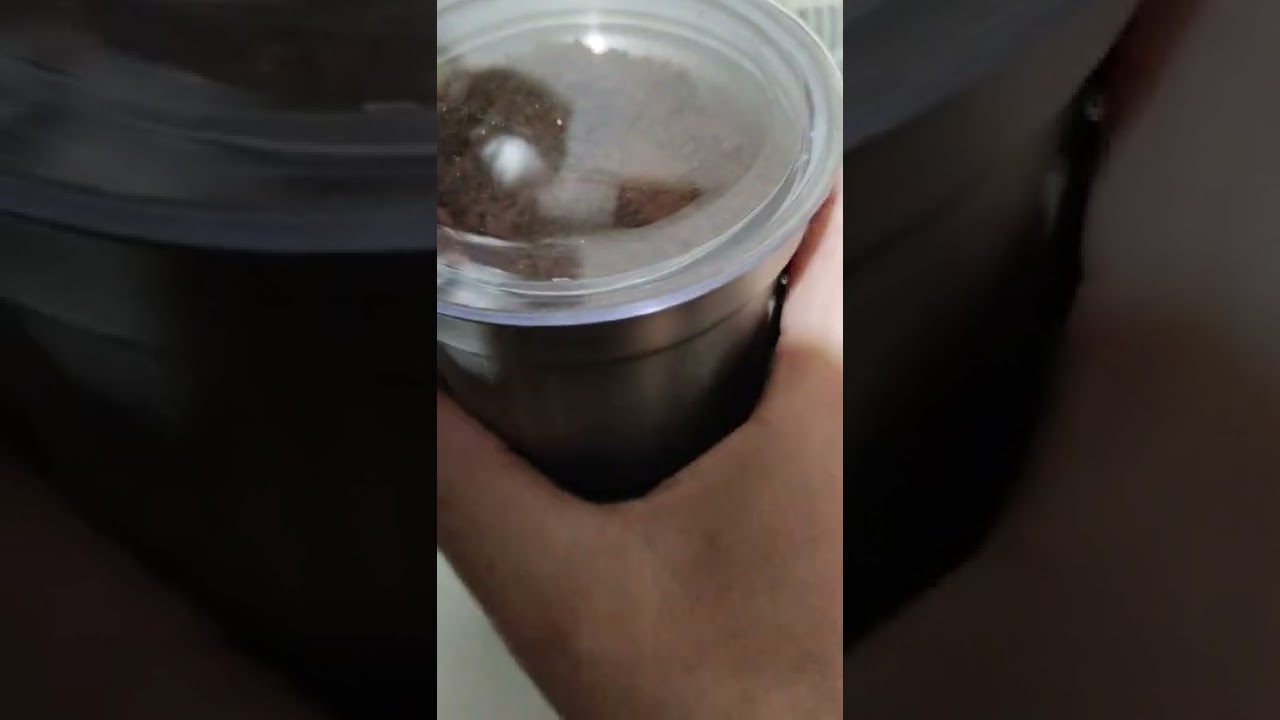 Prezentare r&acirc;șniță de cafea boabe și condimente...