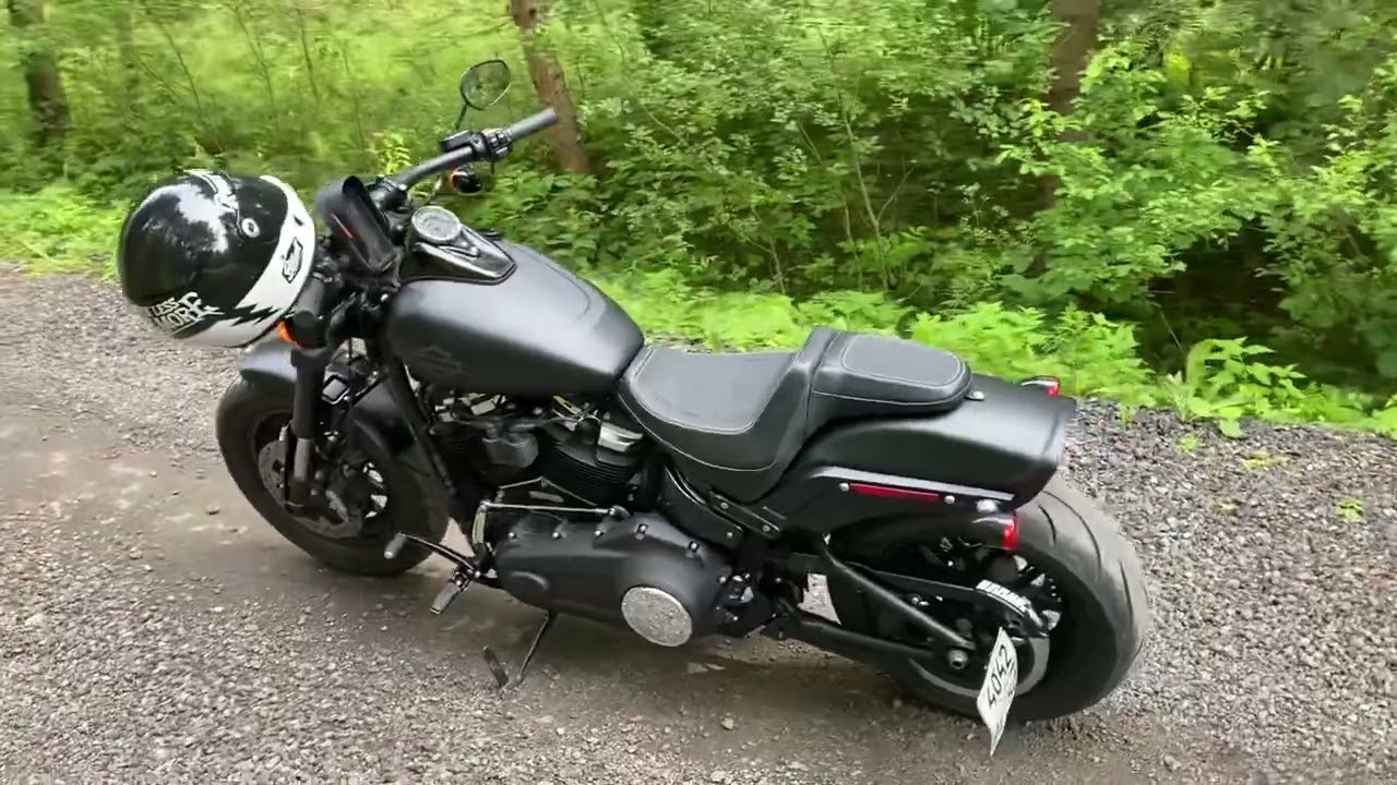 Harley davidson fat bob 2019