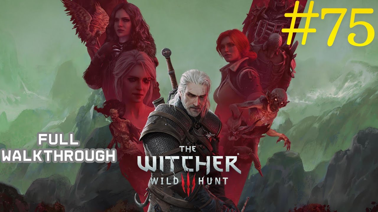The Witcher 3: Wild Hunt – Walkthrough Part 75 | All Side Quests + Hearts of Stone & Blood and Wine