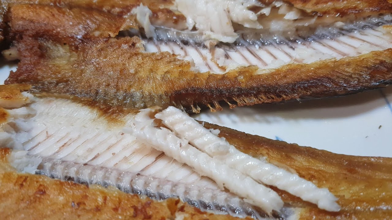 박대구이와 서대구이, 반건조 생선 박대와 서대 맛 비교