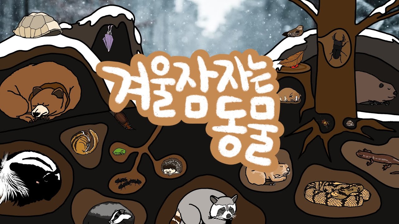 겨울잠 자는 동물 | 동물들은 왜 겨울잠을 잘까? | 동면하는 동물들 | 추운 겨울엔 쿨쿨 잠을 자요 |  키즈드로우