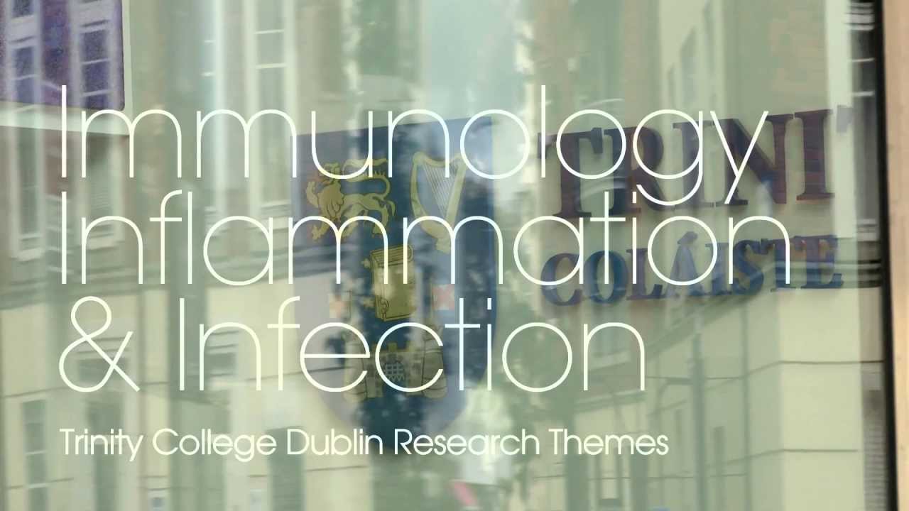 Immunology, Inflammation & Infection Research Theme at Trinity