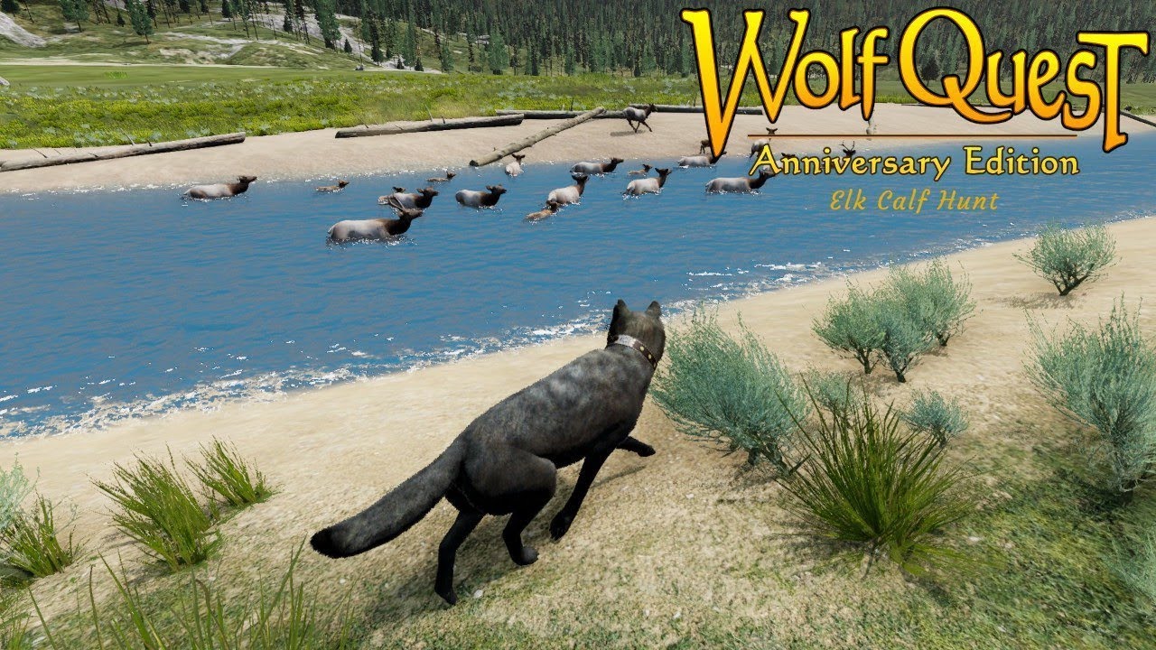 WolfQuest 3 Slough Creek Mini-Doc: Elk calf hunt (REUPLOAD)