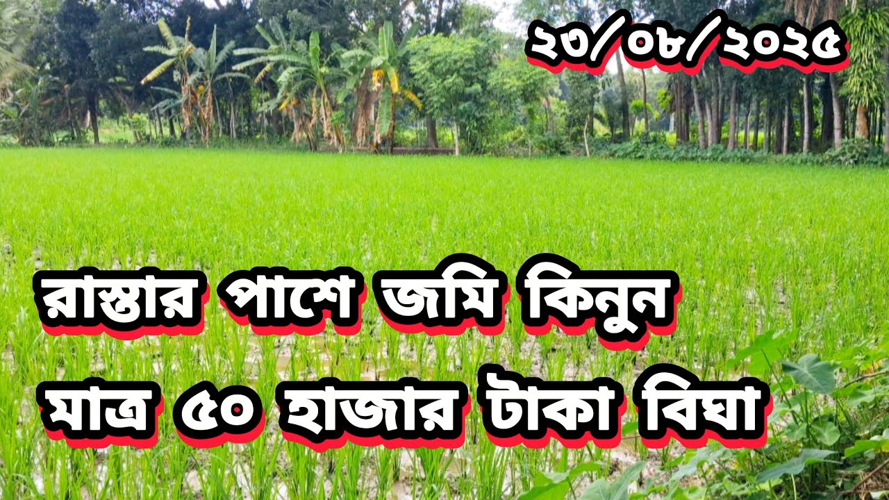 রাস্তার পাশে জমি কিনুন মাত্র ৫০ হাজার টাকা বিঘা 
