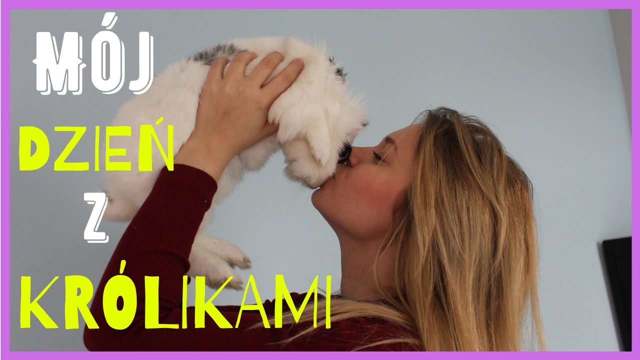 ⭐️Mój dzień z królikami⭐️ |  🐰 Moja codzienna RUTYNA przy 4 królikach  🐰