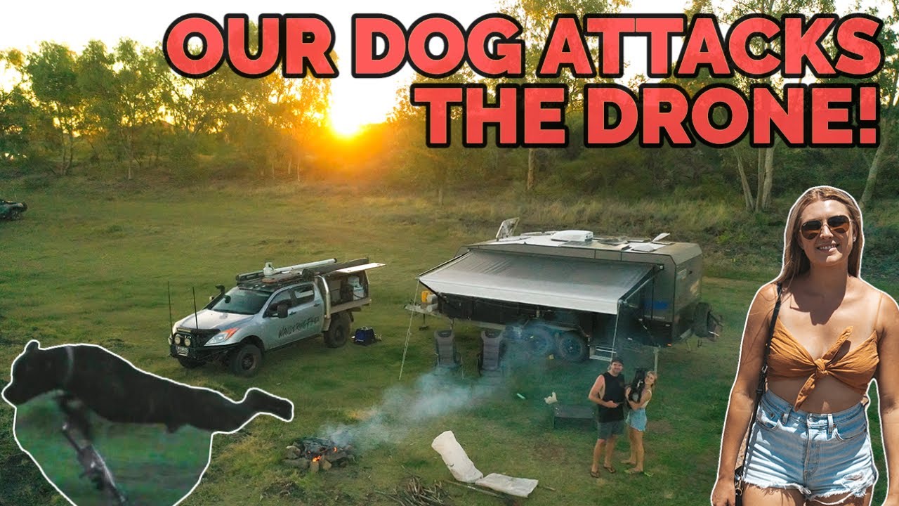 OUR DOG ATTACKS THE DRONE! Free Camping at Corella Dam | Visit Ghost Town | Walkabout Creek Hotel