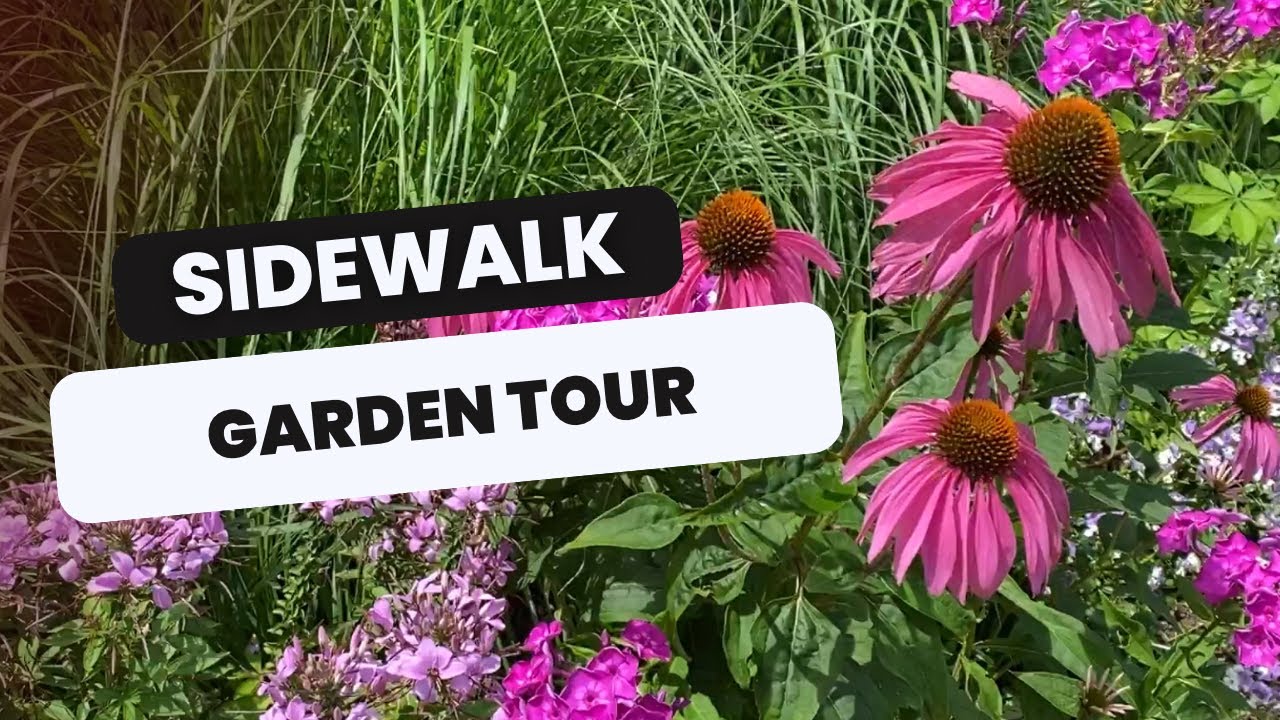 🌸 Sidewalk Garden Tour 🌸