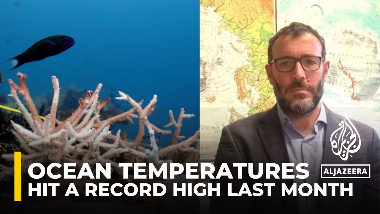 Oceans break high-temperature record in warmest February marked globally