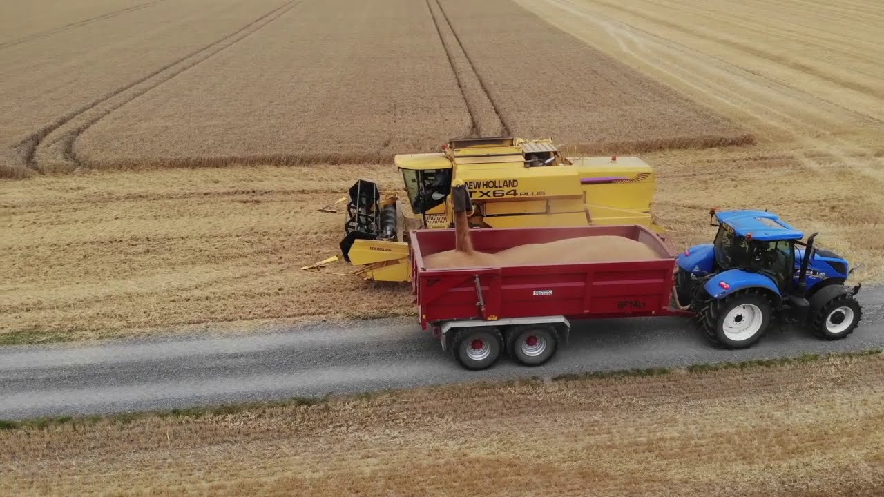 New Holland TX64 Plus Winter Wheat Harvest Goole Fields 2018