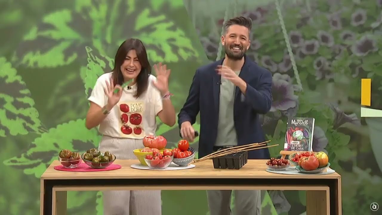 Tomaca, botànica al plat 🍅