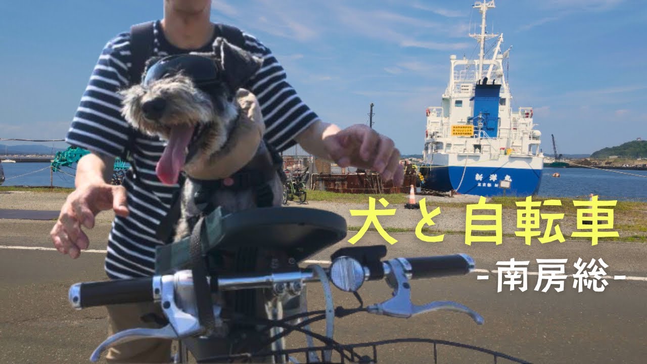 【千葉県館山市】犬とレンタサイクル観光/沖ノ島🚲🚴‍♂️