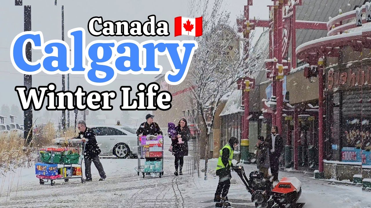 Winter life in Calgary Alberta Canada Walking tour on March 2026 #Calgary #snow 