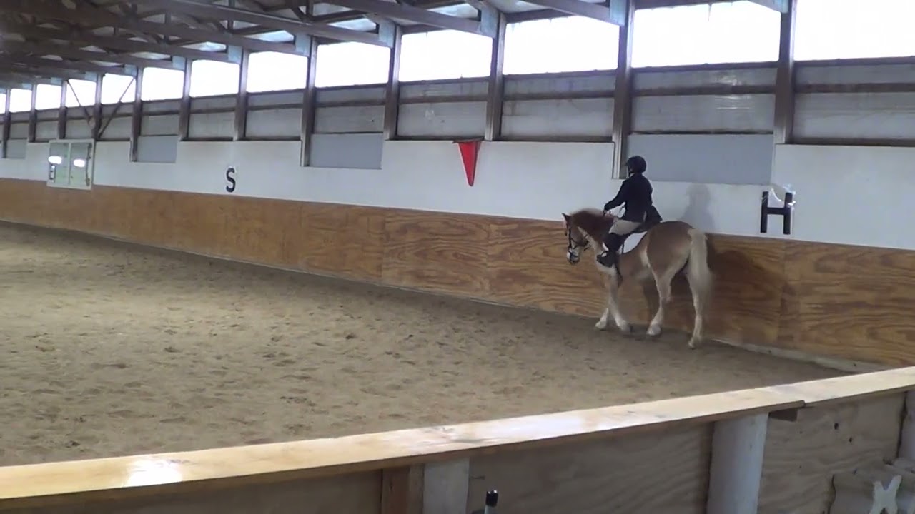 Jenifer Kloss & Linka Feb Training Level Test 1