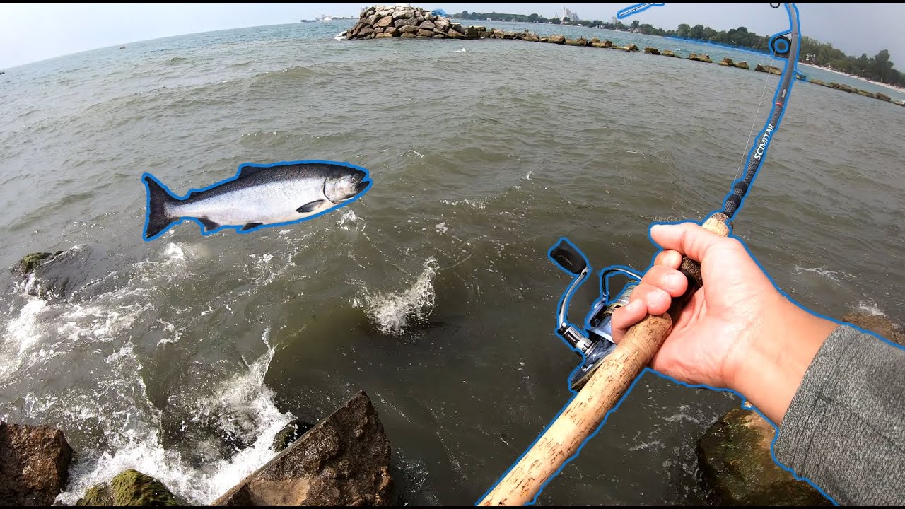 SALMON Fishing Lake Ontario, Canada from Shore 2020